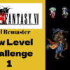 FF6 low level guide 1