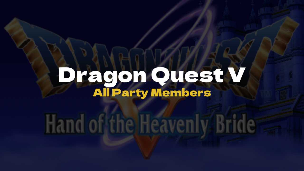 DQ5 All Party Members – Dragon Quest V