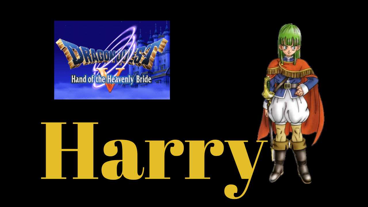 DQ5 Harry - Dragon Quest V