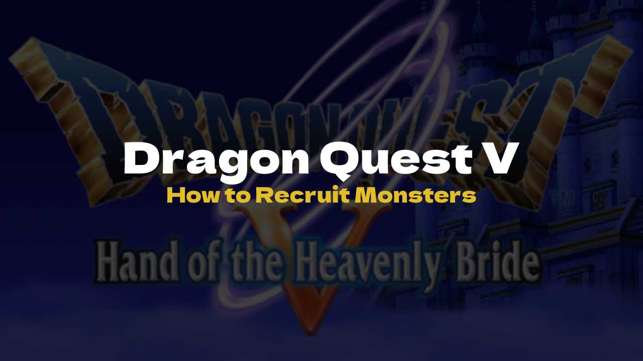 DQ5 How to Recruit Monsters - Dragon Quest V
