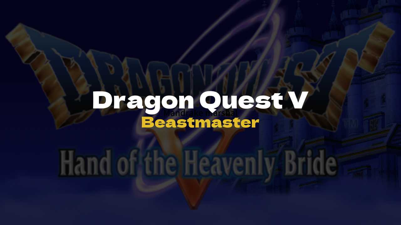 DQ5 Beastmaster - Dragon Quest V