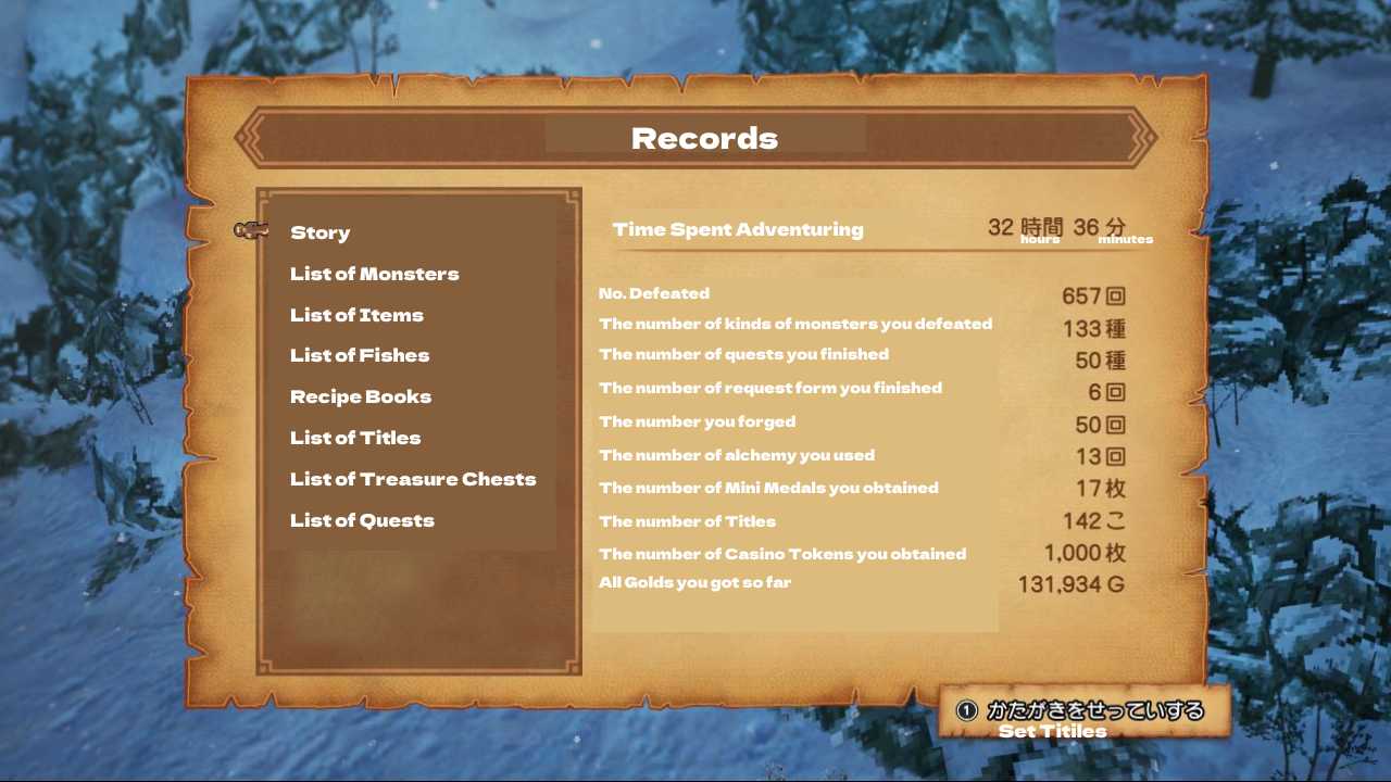 Dragon Quest X - Record Menu
